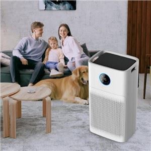 H11 Kompozit Filtre Ekranlı Büyük CADR Wifi Hava Arındırıcı