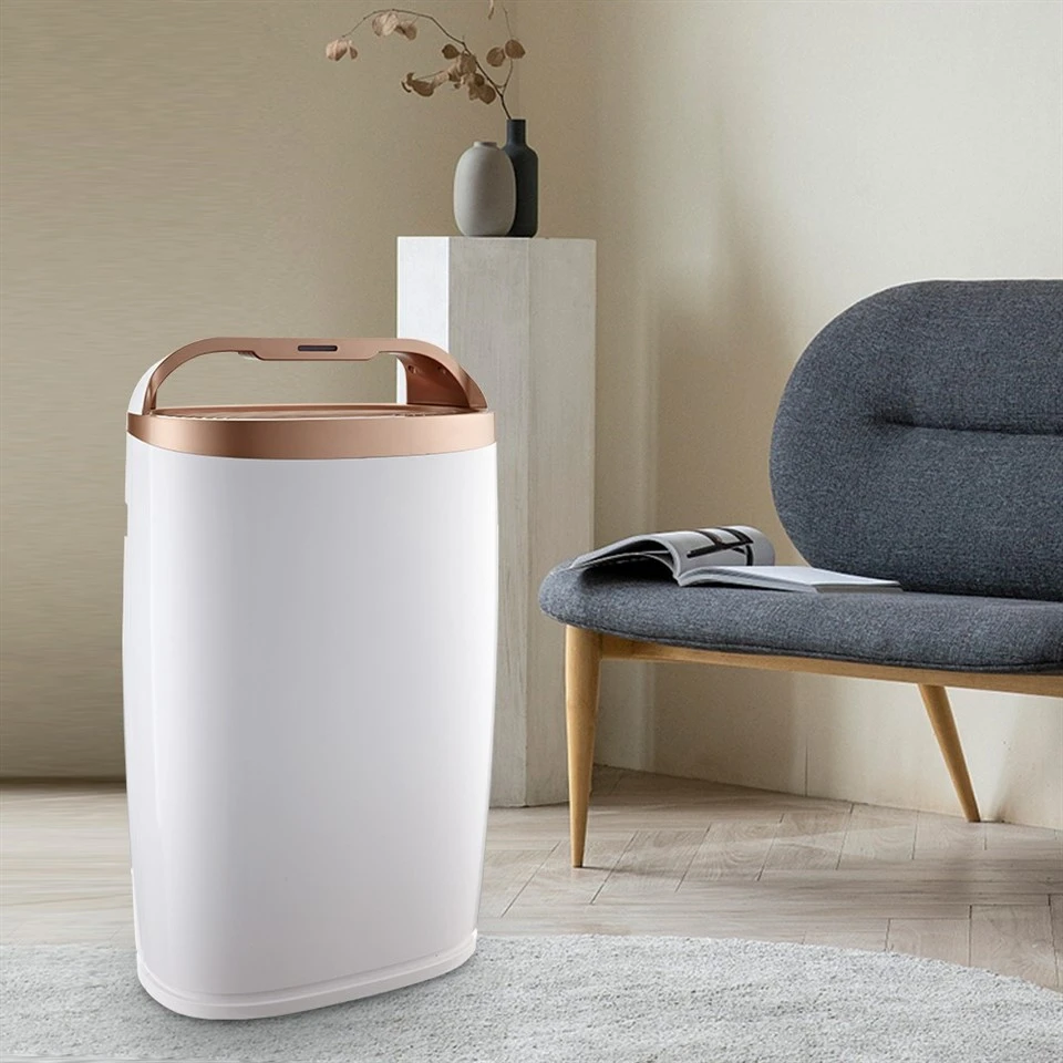 BKJ-306A Home Use Air Purifier With Indoor Application factory